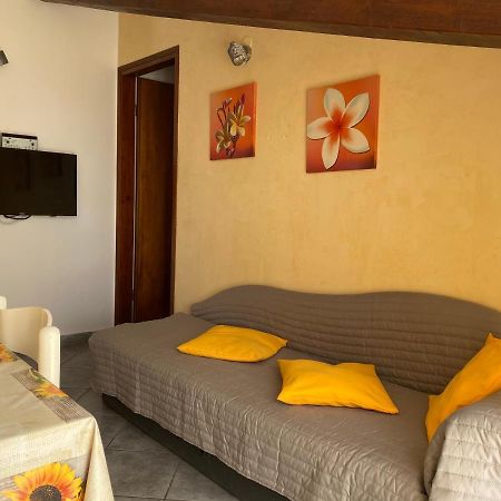 Apartments Tajana Новиград Екстериор снимка